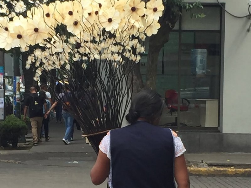 La señora que vendía&nbsp;flores