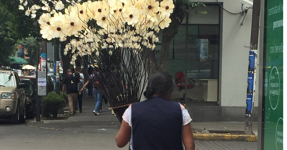 La vendedora de&nbsp;flores